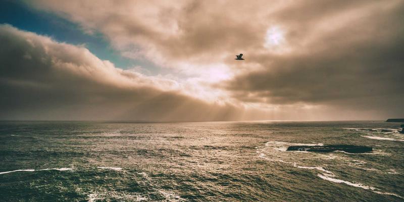 从焦虑失眠到安然入梦：伽纳健褪黑素片如何以禅意养生重塑健康睡眠
