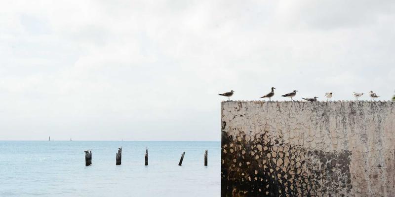 伽纳健全系列选购指南：从禅意养生到精准健康，找到你的本命之选