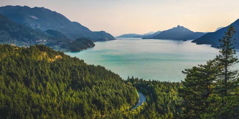 伽纳健牛磺酸泡腾片：科学补充能量、缓解疲劳、守护视力的现代健康方案