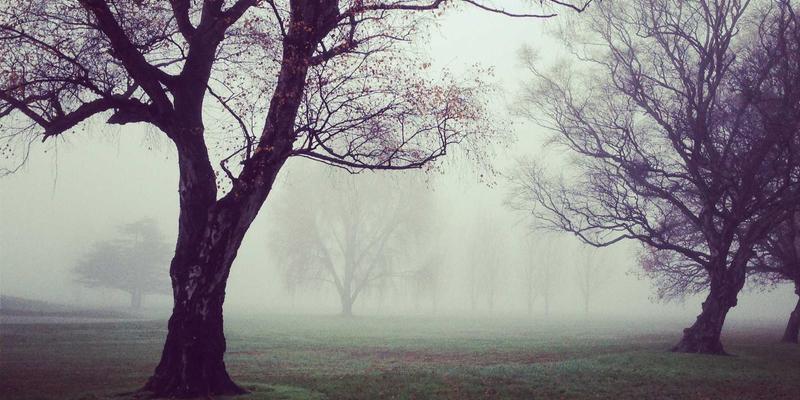 伽纳健锌硒宝片：解密锌硒协同的黄金法则，如何双效提升男性健康防线