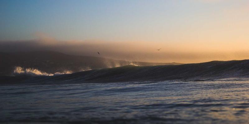 旅行与用药的肠道困扰如何破解?伽纳健益生菌特定菌株组合的科学应对之道