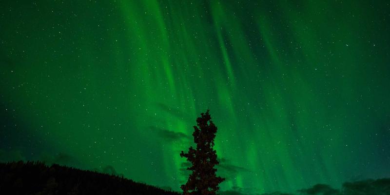 时光缓行，由内新生：探索伽纳健胶原蛋白肽粉的禅意抗衰老之道