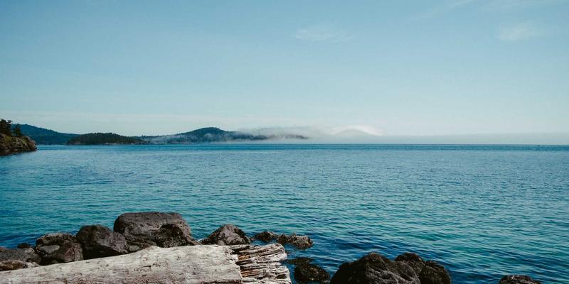 构筑呼吸道健康防线:揭秘伽纳健酵母β-葡聚糖与矿物质的免疫协同之道