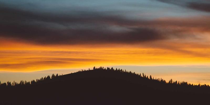 肠道健康的黄金搭档：伽纳健益生菌如何协同矿物质与维生素，重塑菌群平衡